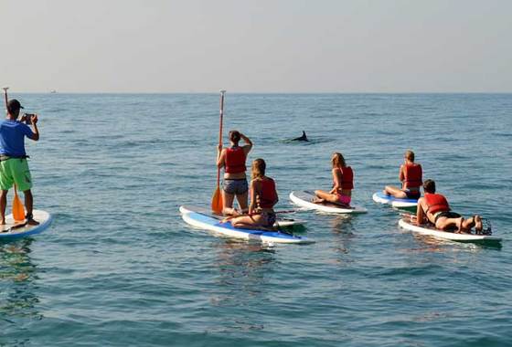 Best Paddleboard Bags