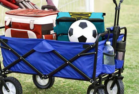 Best Collapsible Carts