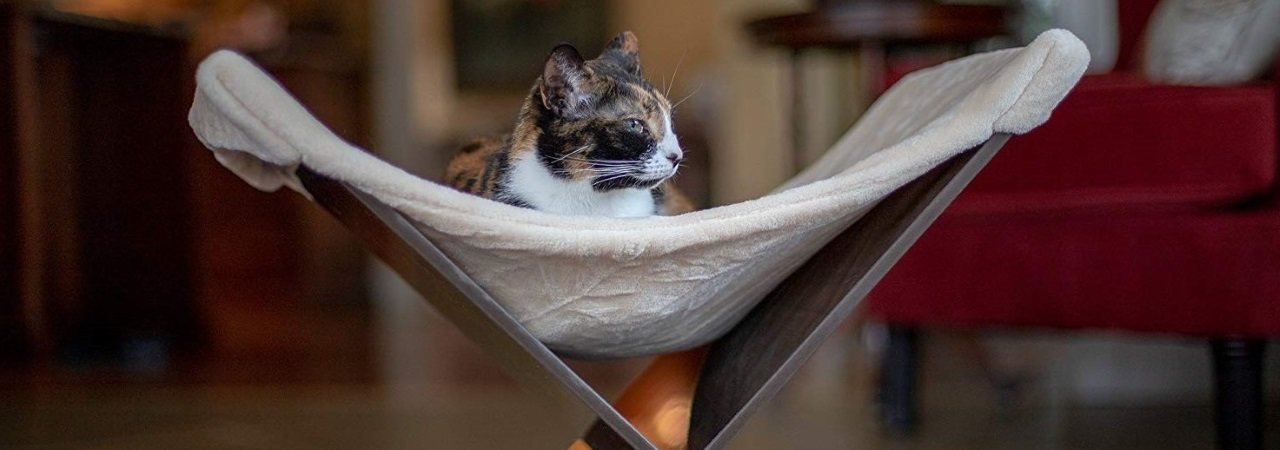 best cat hammock