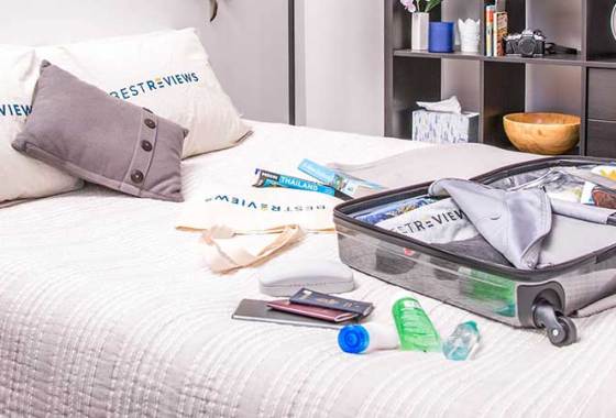 Best Merax Luggage Sets