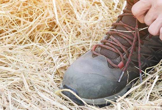 Best Skechers Boots for Men