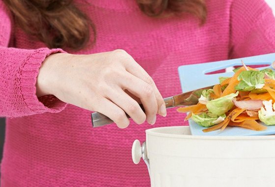 Best Indoor Compost Bins