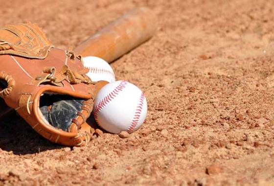 Best Wood Baseball Bats