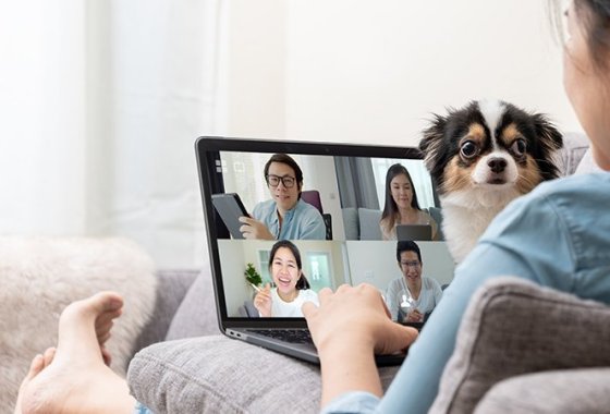 Best Internet Service Providers