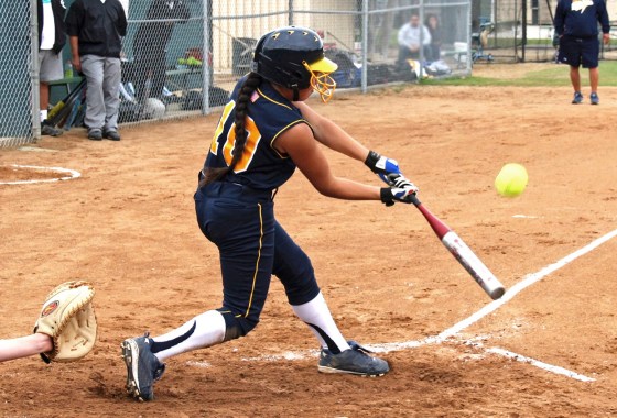 Best Slow-Pitch Softball Bats