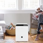 Which dehumidifier is best for basements?