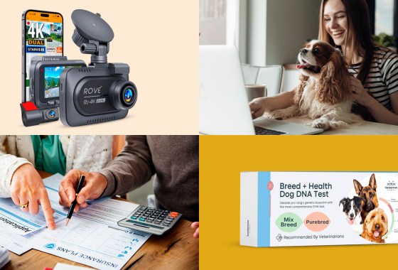 Top must-haves and essential services to protect your pets and cars