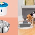 Pet water fountains are actually really good for your dogs and cats