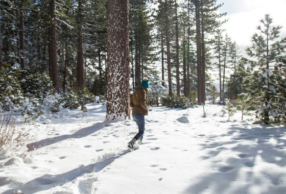 The Old Farmer’s Almanac predicts a cold, snowy winter
