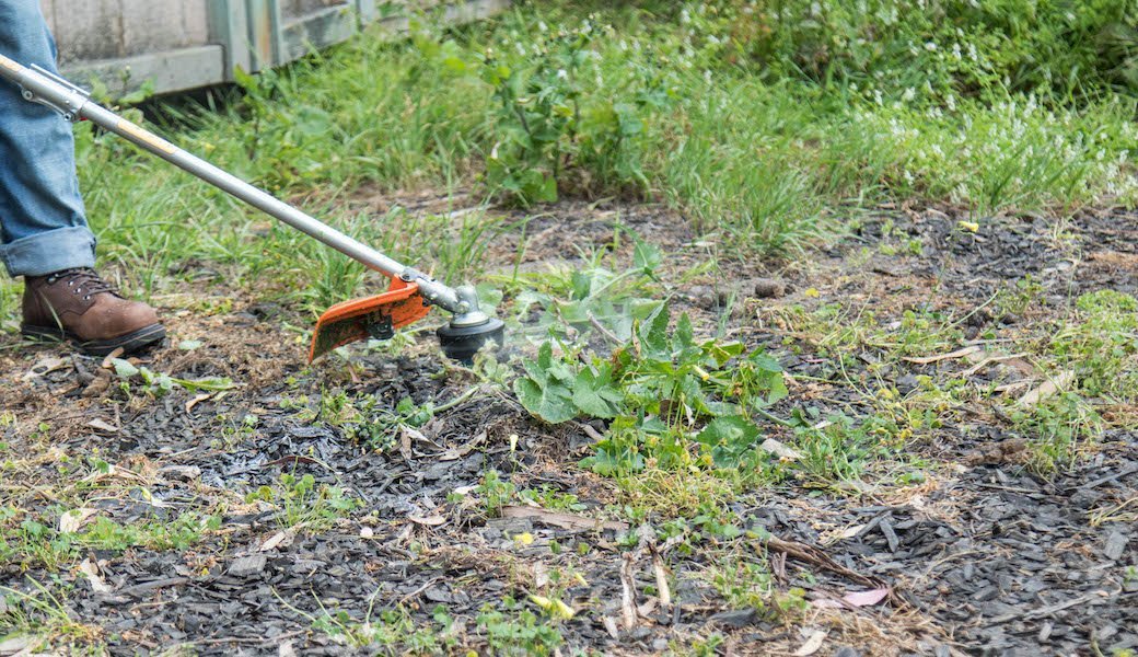 5 Best Gas Weed Eaters Aug. 2020 BestReviews