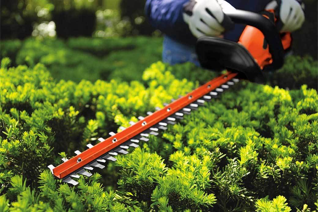 black & decker hedge cutter