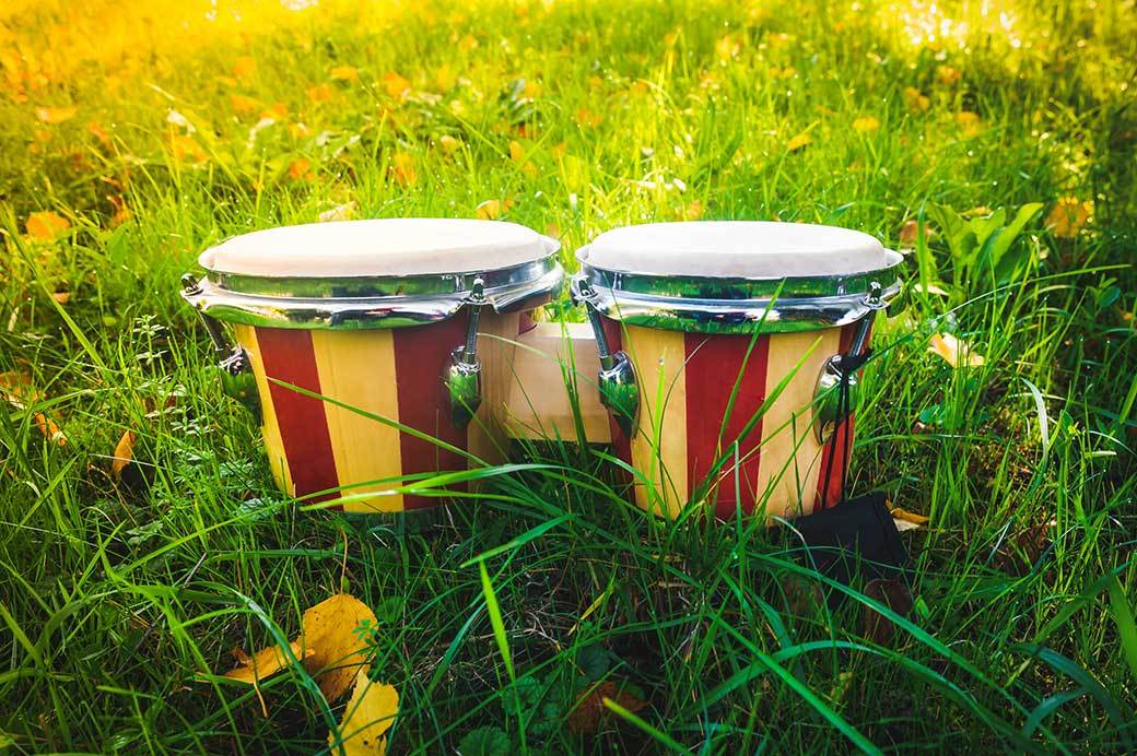 5 Best Bongo Drums Sept. 2021 BestReviews