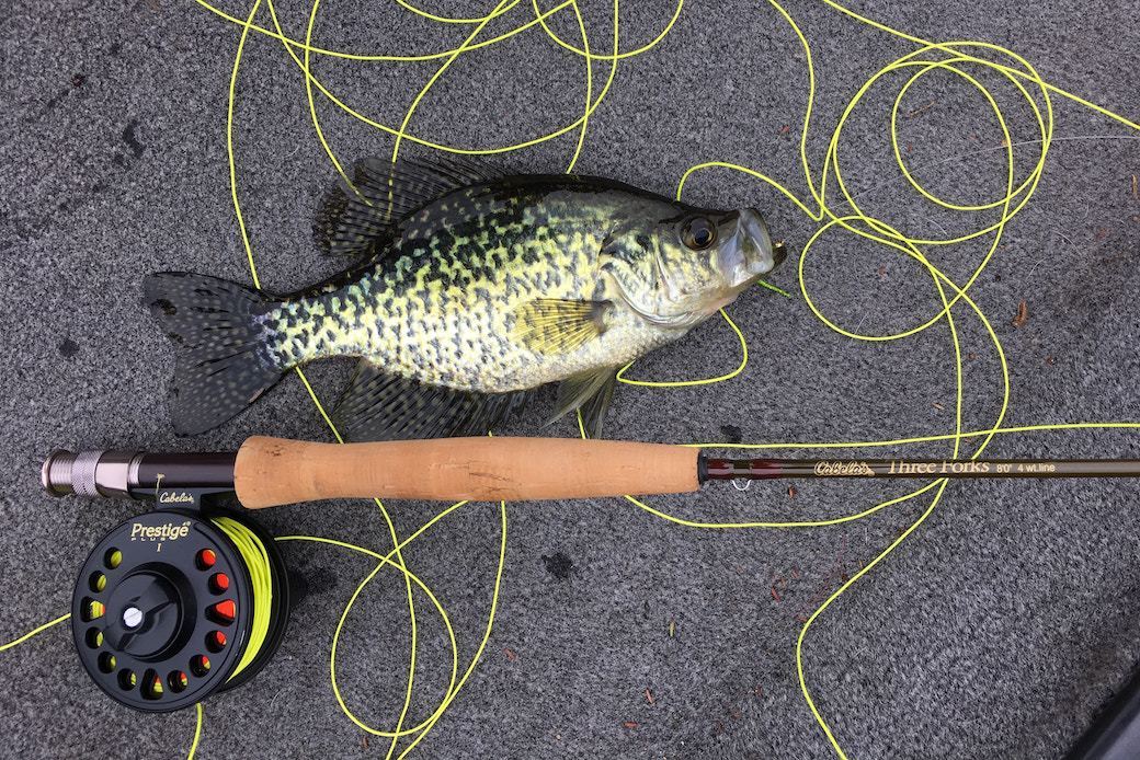 5-best-fishing-lines-aug-2020-bestreviews