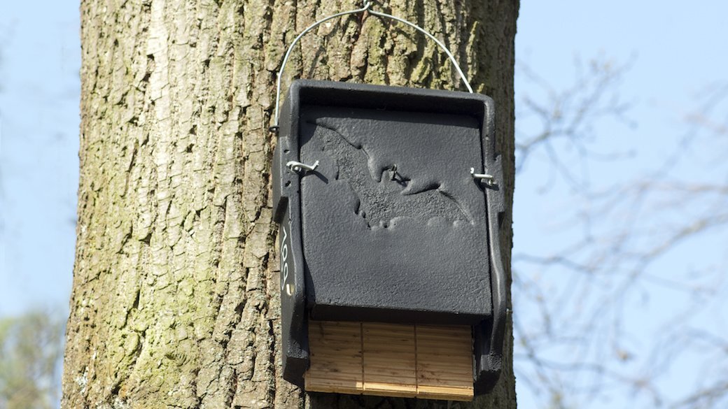 5 Best Bat Houses - July 2021 - BestReviews