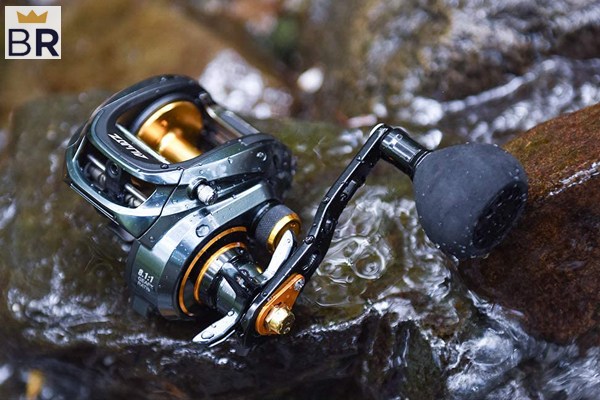 5 Best Baitcasting Reels - Sept. 2024 - BestReviews