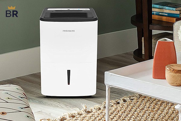 5 Best Dehumidifiers - Nov. 2024 - BestReviews