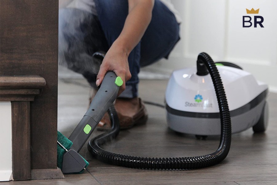 5 Best Steam Cleaners May 2024 BestReviews