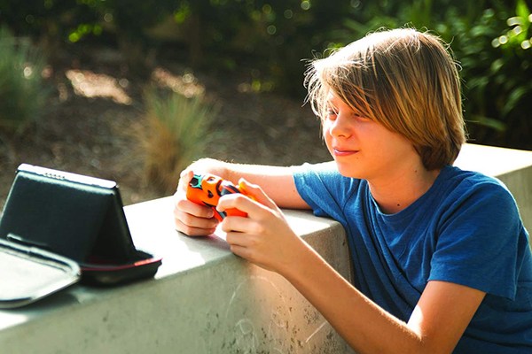 nintendo switch carrying cases