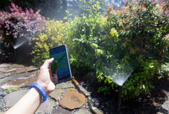 How to take your sprinkler system to the next level