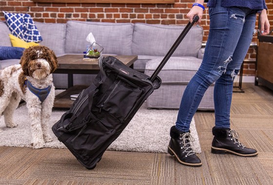 10 stylish luggage sets worth checking out for your New Year's travel resolutions