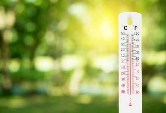 Use these outdoor and surface thermometers to detect dangerous heat