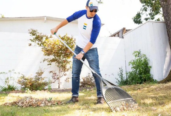 These great dethatching rakes will help your lawn stay healthy and lush