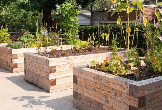7 best cedar raised garden beds