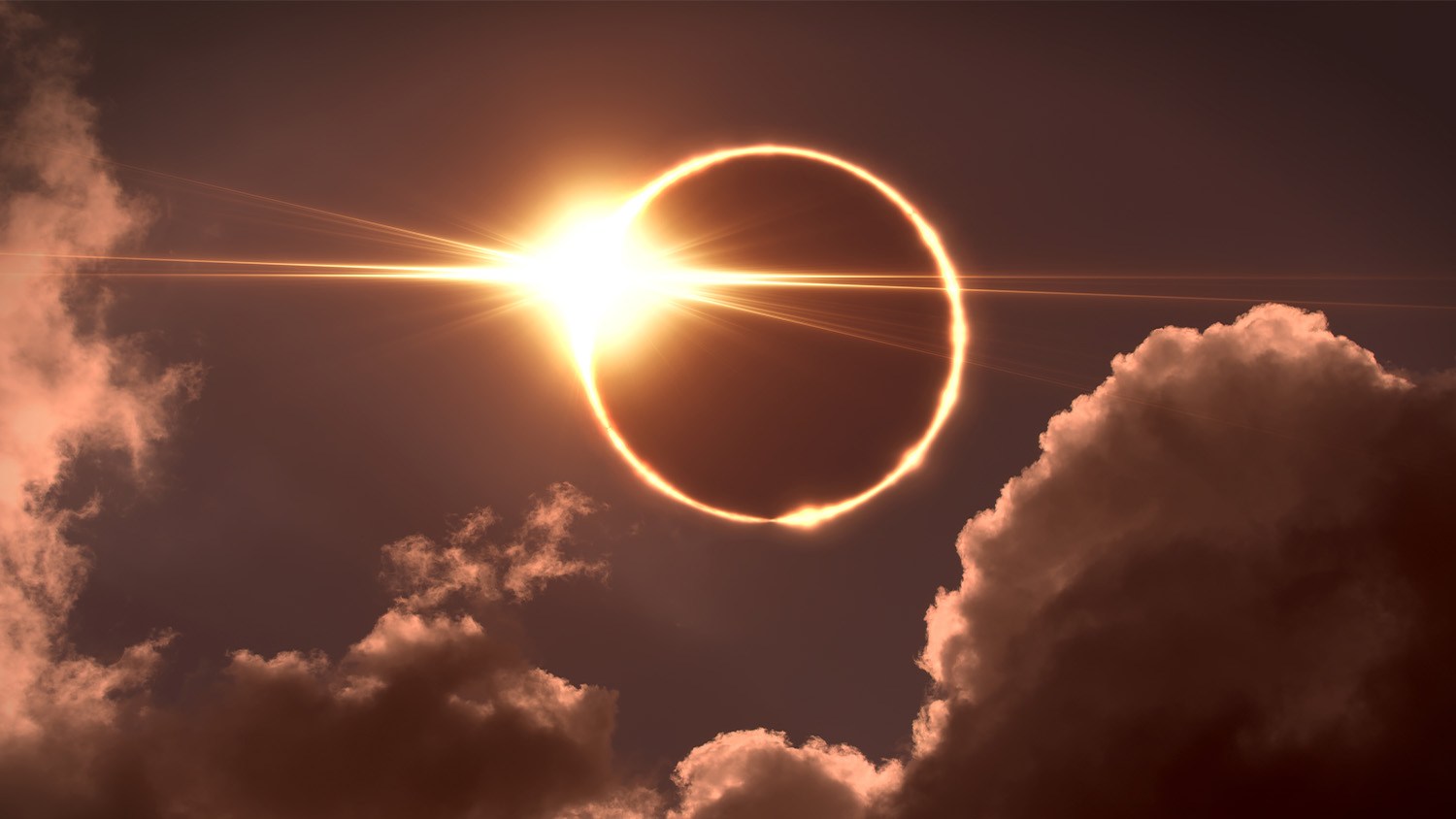 Warby Parker is giving away free solar eclipse glasses here’s how to
