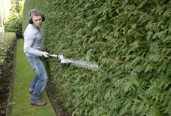 Best pole hedge trimmer