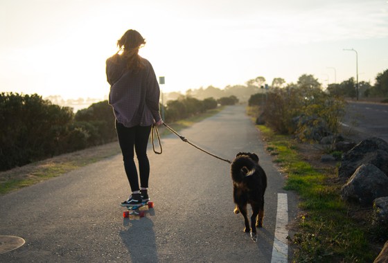 Best cheap electric skateboard