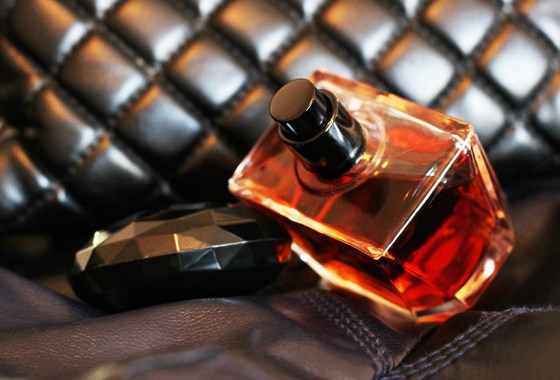Best Dolce & Gabbana perfume