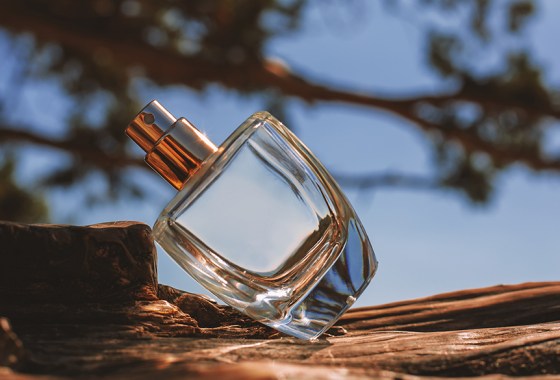 The best Valentino perfume
