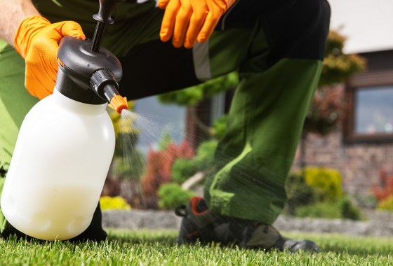 Best weed killer that won't kill grass