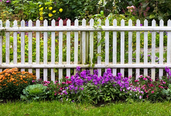 Best picket fence