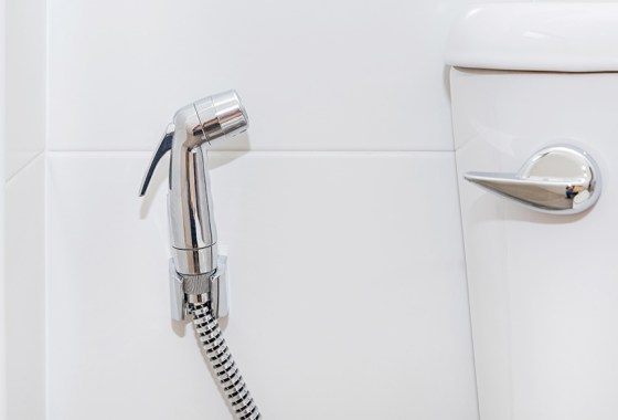 The best bidet sprayer