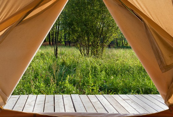 Best canvas tent
