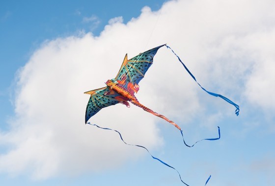 Best dragon kite