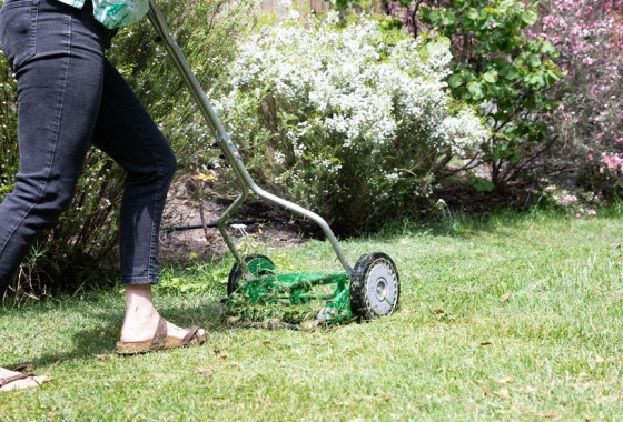 Best mulching lawn mower