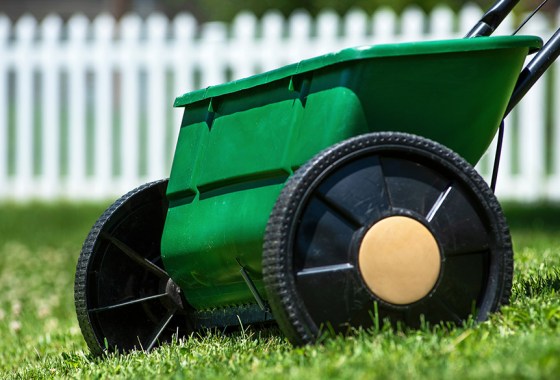 How to overseed a lawn