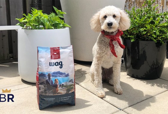 Wag review: Do pets approve of Amazon’s dog food?