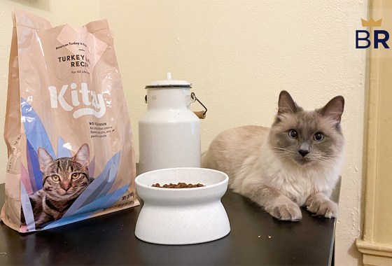 Kitzy review: How do cats feel about Amazon's new dry food?