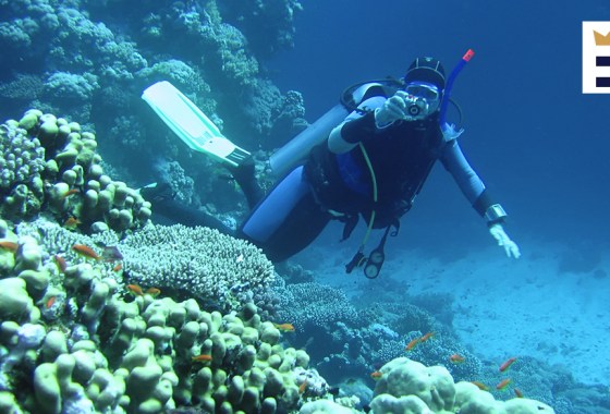 Best underwater camera