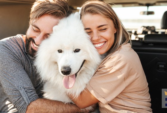 Best gifts for dog lovers