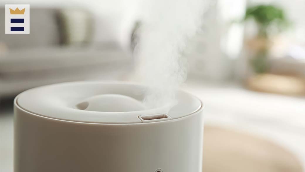 Best travel humidifier