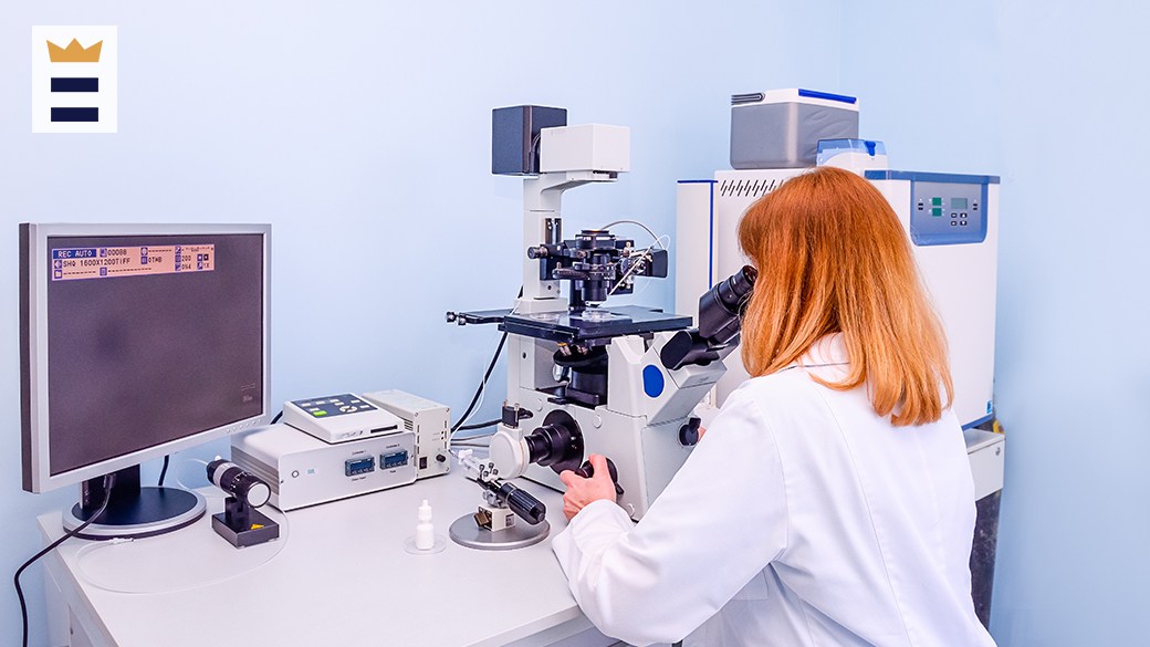 Best stereo microscope