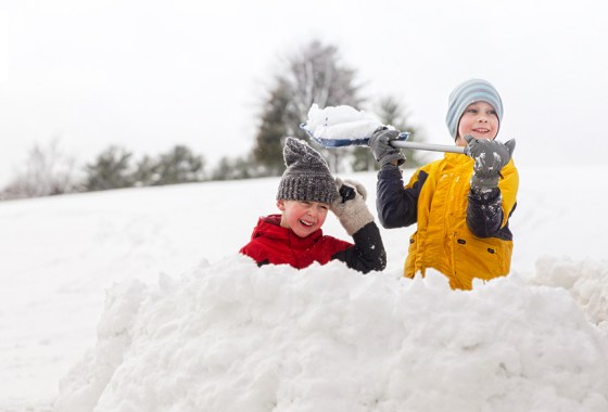 Best supplies for snow-fort building