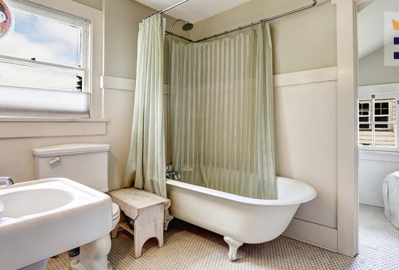 Best green shower curtain