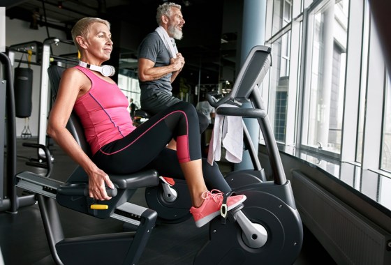 Schwinn exercise bike vs. Marcy exercise bike