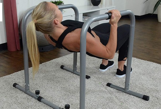 Best heavy-duty dip station