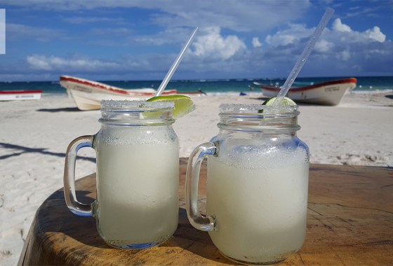 Best Margaritaville blender